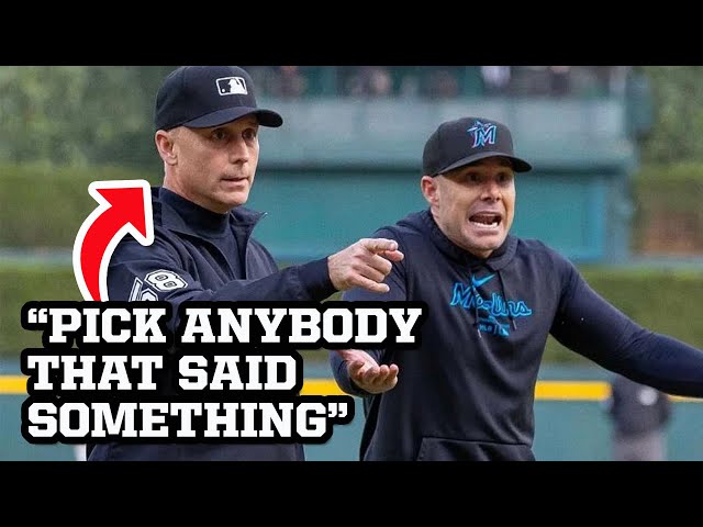 Umpire has no idea who he ejected, a breakdown