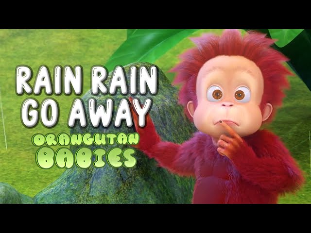 Rain Rain Go Away - Orangutan Babies | #NurseryRhymes #RainRainGoAway