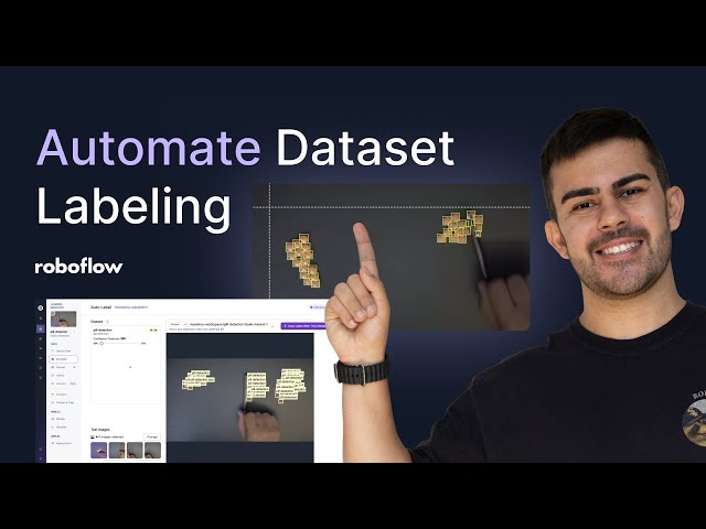 Auto Labeling Image Data | How to Annotate a Dataset and Train a Vision AI Model