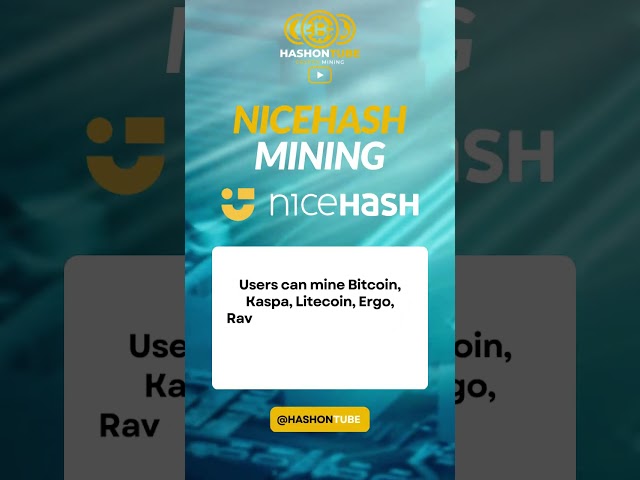 Easily Mine Bitcoin and More on Nicehash #crypto #shorts