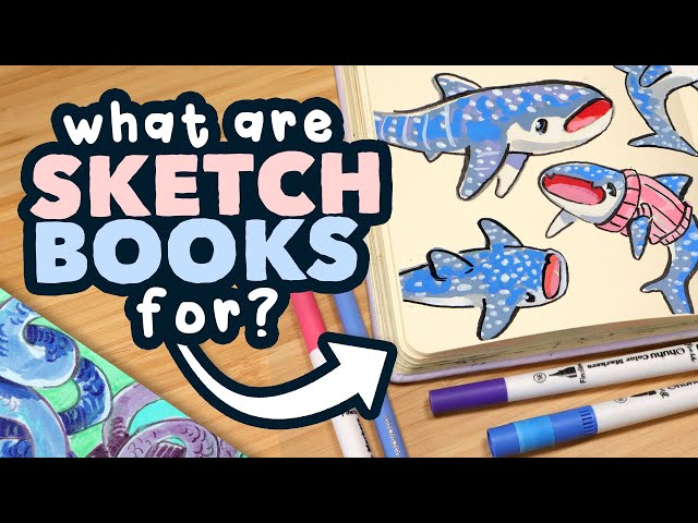 What are Sketchbooks For? // whale sharks & snakes sketchbook session