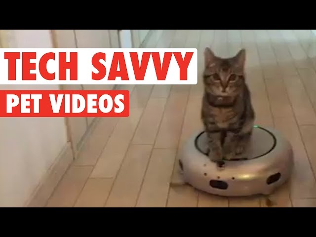 Tech-savvy Pets || Funny Pet Compilation