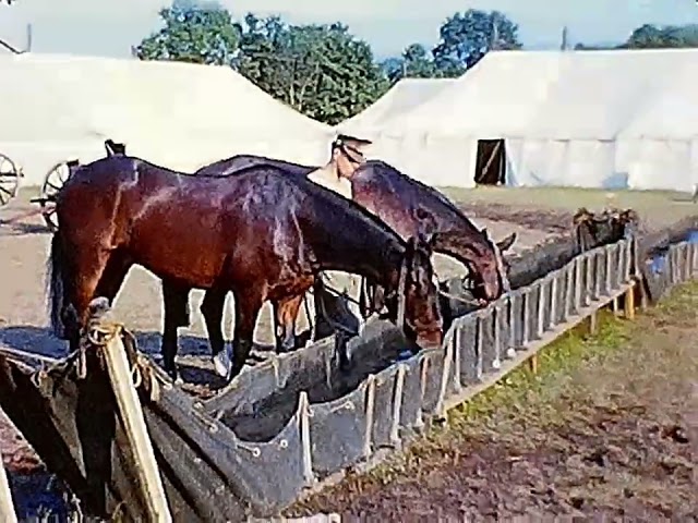 1960s ROYAL HORSE ARTILLERY, BATH & WEST SHOW  - look out for the next film. 