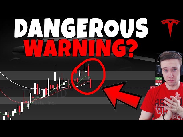 Stock Technical Analysis on TSLA, SPCX, PLTR, HOOD, MU, NBIS, IREN, META