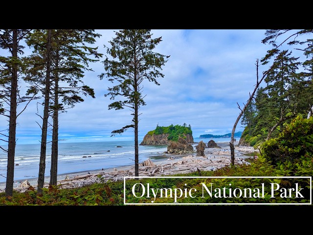 Explore Olympic National Park, Washington: Ruby Beach, Sol Duc Hot Springs, & Hurricane Ridge [#115]