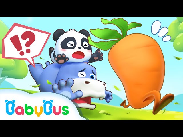 หัวไซเท้าของคุณแม็กซ์หายไป | ตามจับหัวไซเท้า | การ์ตูนเด็ก | เบบี้บัส | Kids Cartoon | BabyBus