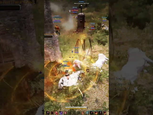 BDO Node War Area Control
