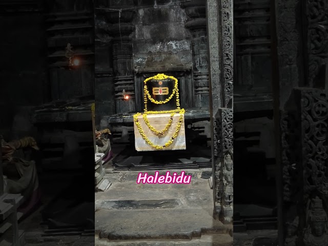 Halebidu 🔥 Hoysaleswara Temple 🔥 Halebidu’s Incredible Stone Masterpiece!