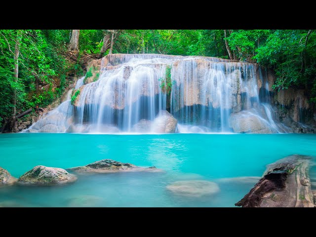 Relaxing Zen Music to Calm the Mind, Piano Music to Stop Thinking, Zen Music
