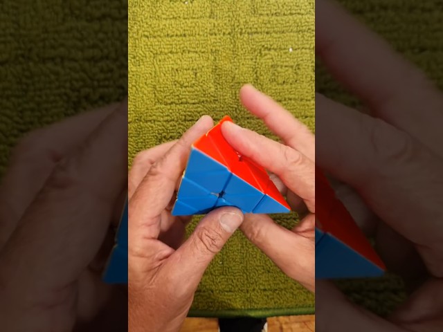 How to Solve the Pyramid Puzzle or Pyraminx Puzzle - all the steps #puzzle #rubiks #solve