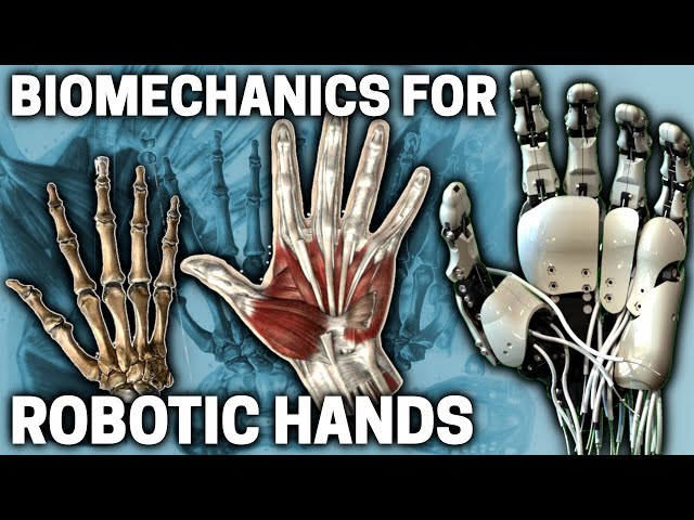 Biomechanics of the CMC Joint for Bionic Hands - Biomimetic Mechatronic Hand Part 4