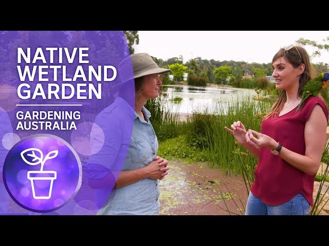 Native Wetland Habitat Garden