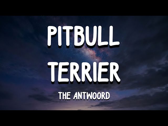 The Antwoord- Pitbull Terrier (Lyrics)