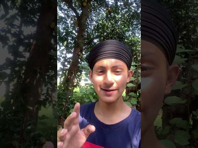 Jatt Pass Hogya #100kvews #happysinghvlogs #happybakchod #trendingshorts
