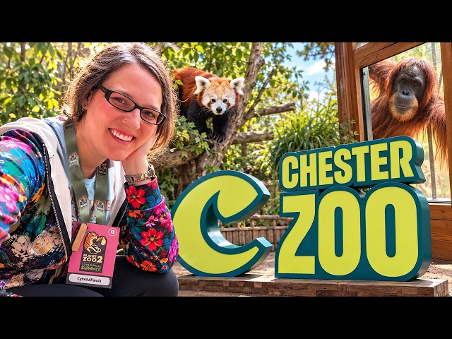 Planet Zoo 2 Took Over Chester Zoo… And I Was There!
