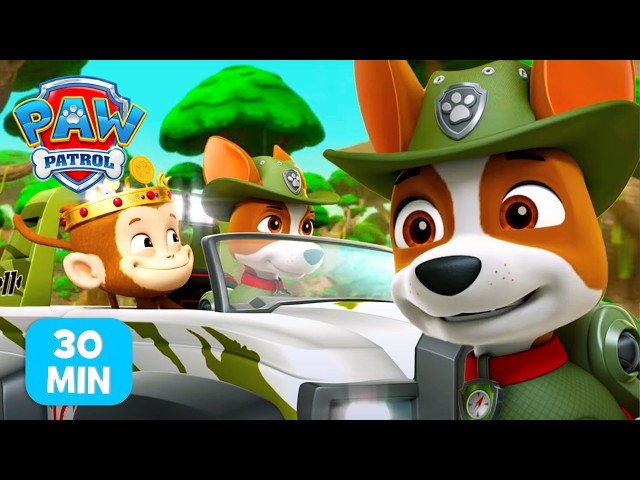Willkommen, Tracker! Die erste Mission im Dschungel! 🐾🌴 | PAW Patrol Auf Deutsch