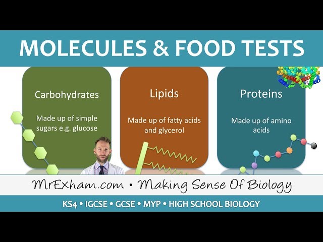 Molecules and food tests - GCSE Biology (9-1)