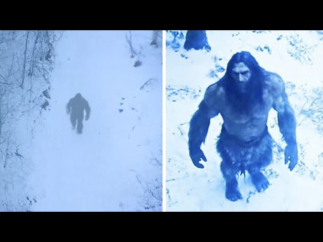 Unknown Creatures Caught on Camera That Should Not Exist