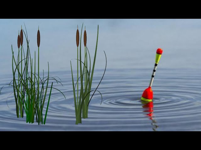 WHAT SOMETIMES CAN BE CAUGHT WITH A FLOAT...BE PREPARED!!!