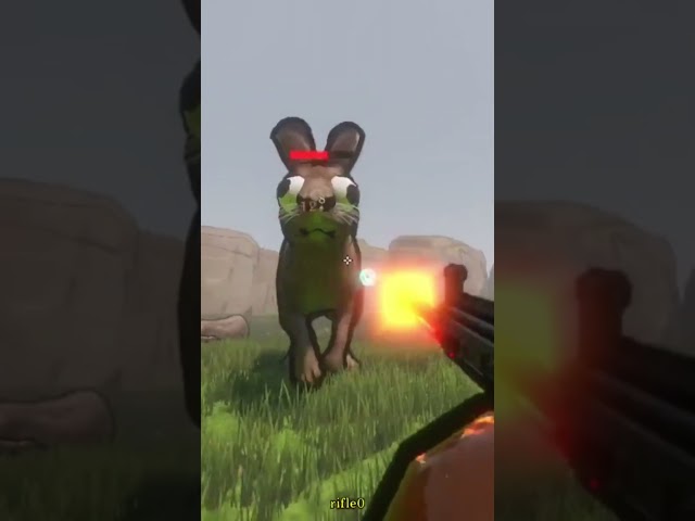 Do you like it? #shorts #gaming #indiegame #multiplayer #pcgaming #coop #animals #shootergames