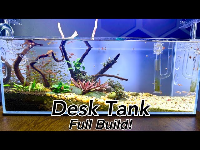 UNS 45L Desktop River Aquascape - Start to Finish