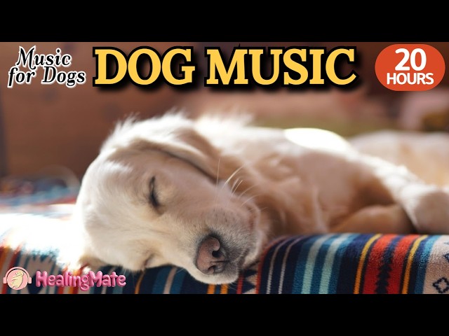 20 HOURS of Deep Sleep Dog Music & Separation anxiety🐶💖Dog Relaxation Music🎵stressed dog🐶healingmate