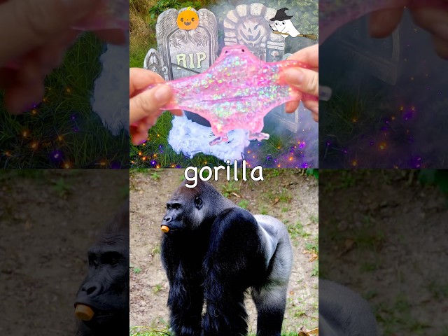 Halloween Fun | Learn Animal Names at the Cauldron for Kids: Gorilla Cheetah Bear Tapir Koala