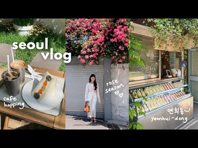 seoul vlog 🌹 health exam, roses, cute cafes, french lessons, personal color analysis