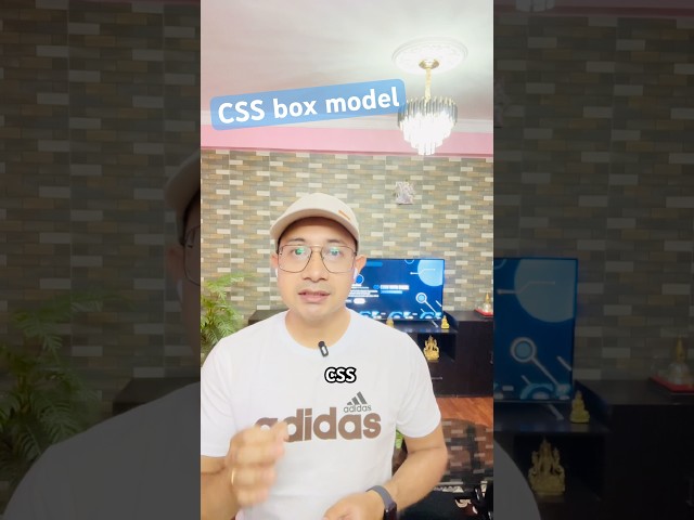 What is the CSS box model?
