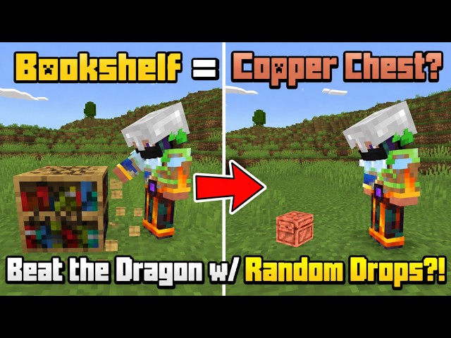 Can We Beat the Ender Dragon in 5 Minutes with RANDOM DROPS?!🎲
