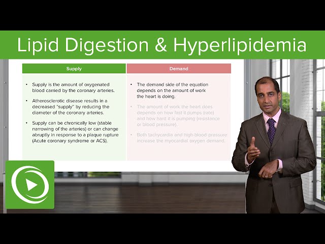 Lipid Digestion & Hyperlipidemia – Cardiovascular Pathology | Lecturio