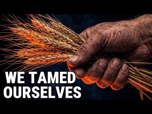 The Evolution of Self-Domestication | Are We Still Wild?