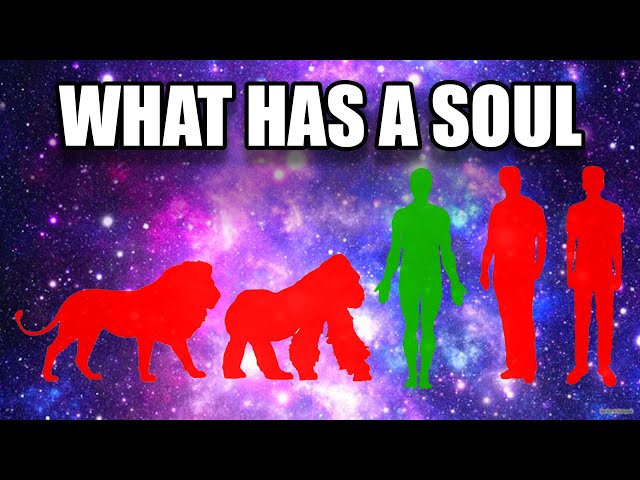 Do Animals Have a Soul?