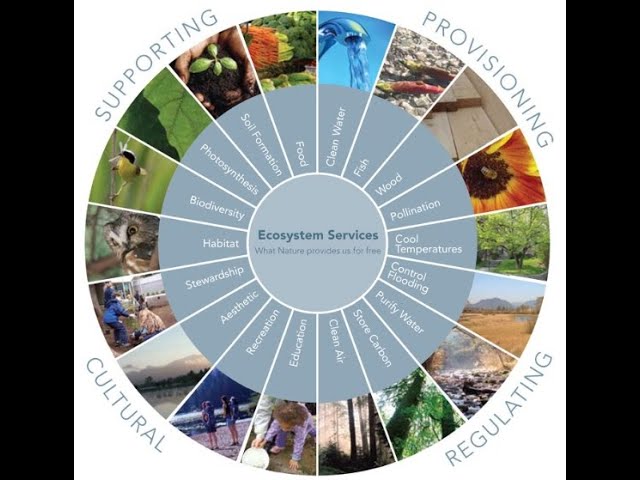 Ecosystem Services