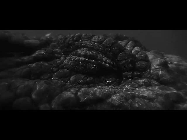 [FREE] BOOM BAP DRUM KIT "CROCODILE" 90's HIP HOP DRUM KIT