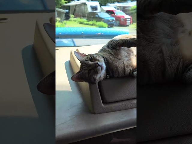 Our Full-Time Life in VR #shorts #jingle