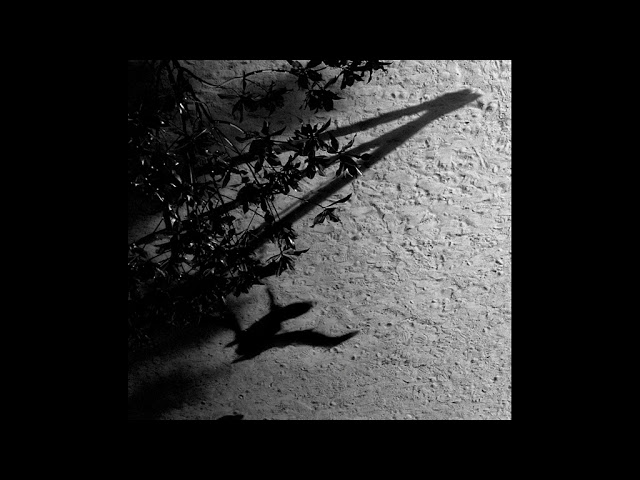 2004 - Max Richter - The blue notebooks - Written on sky