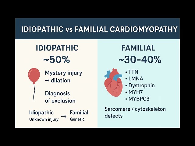 CMPs Part 1 // BACKGROUND, DCM, USMLE STEP 1 podcast
