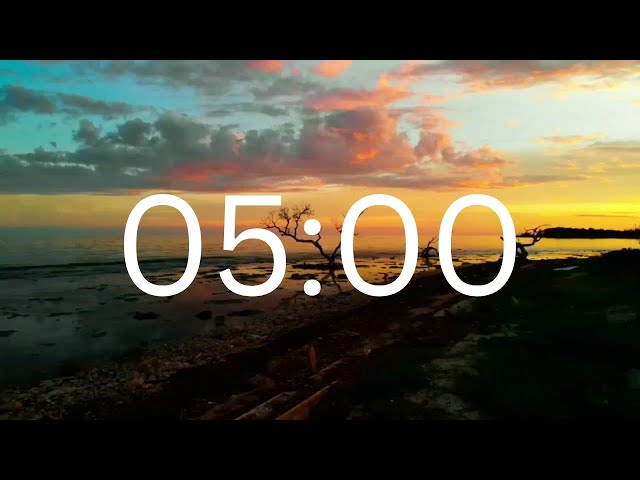 5 Minutes Timer With Relaxing Music