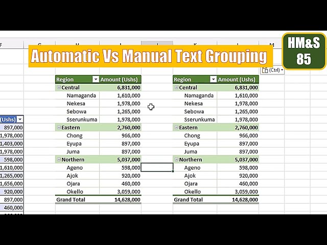 Automatic Vs Manual Text Grouping In Pivot Table HM&S 85