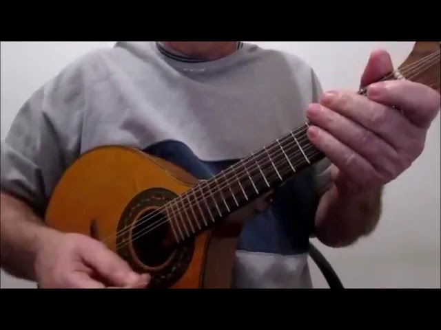 Concerto in G / Vito Ugolino