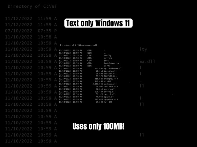 I Deleted the GUI from Windows 11 💀 #windows #microsoft