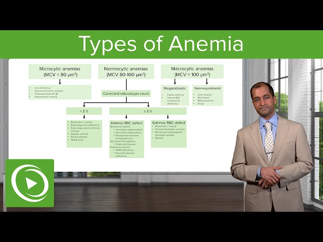Anemia: Microcytic, Normocytic & Macrocytic Type – Hematology | Lecturio