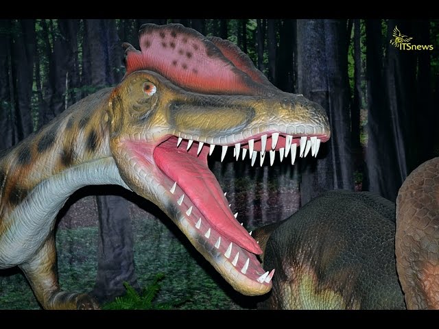 DINOZAURY NA ŻYWO Otwarcie Wystawy
