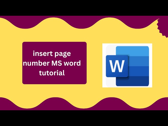 insert page number MS word tutorial