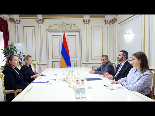 ԱԺ նախագահ Ռուբեն Ռուբինյանն ընդունել է ՀՀ- ում ԵՄ դիտորդական առաքելության ղեկավարին