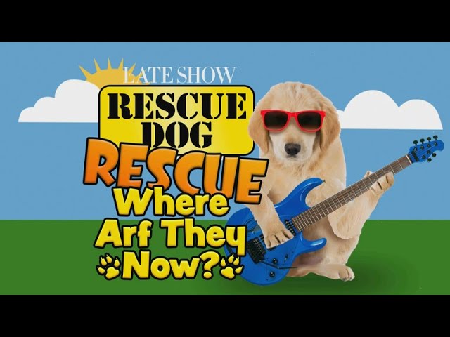 Rescue Dog Rescue: Where Arf They Now?