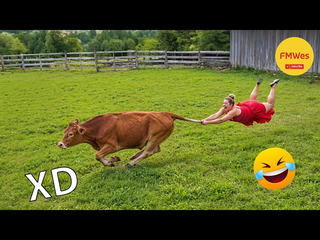 SI TE RÍES PIERDES NIVEL DIOS 🤣 VIDEOS DE RISA 😎 HUMOR VIRAL MEXICANO🤣 #863