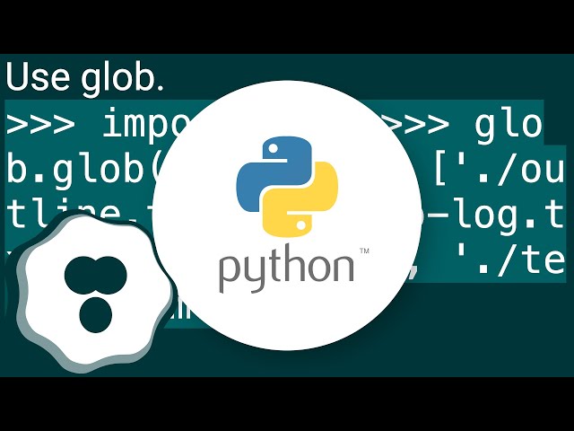 Find all files in a directory with extension .txt in Python