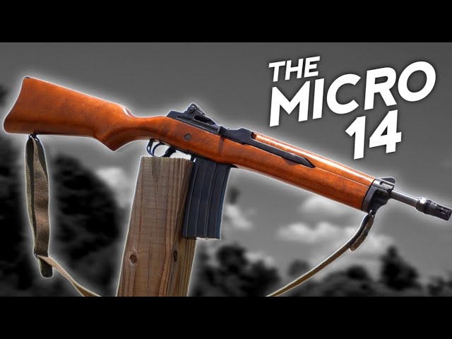 Everyone's Buying Mini-14s in 2026… I made THIS Instead (The Micro 14)